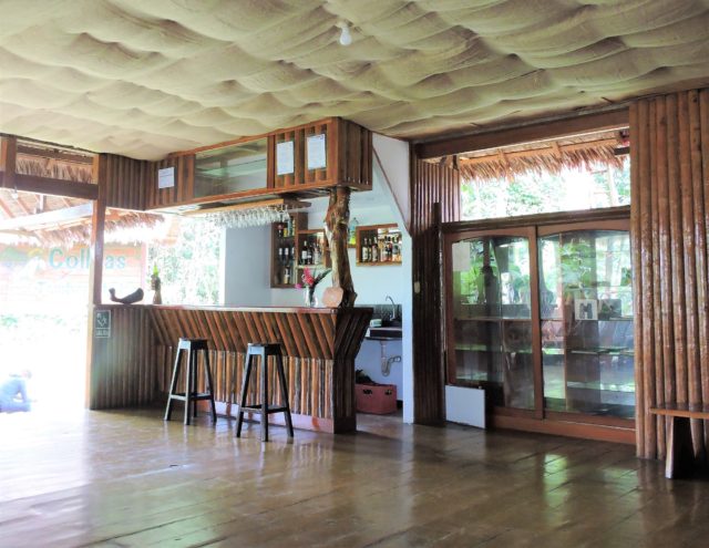 Tambopata Rainforest Tour