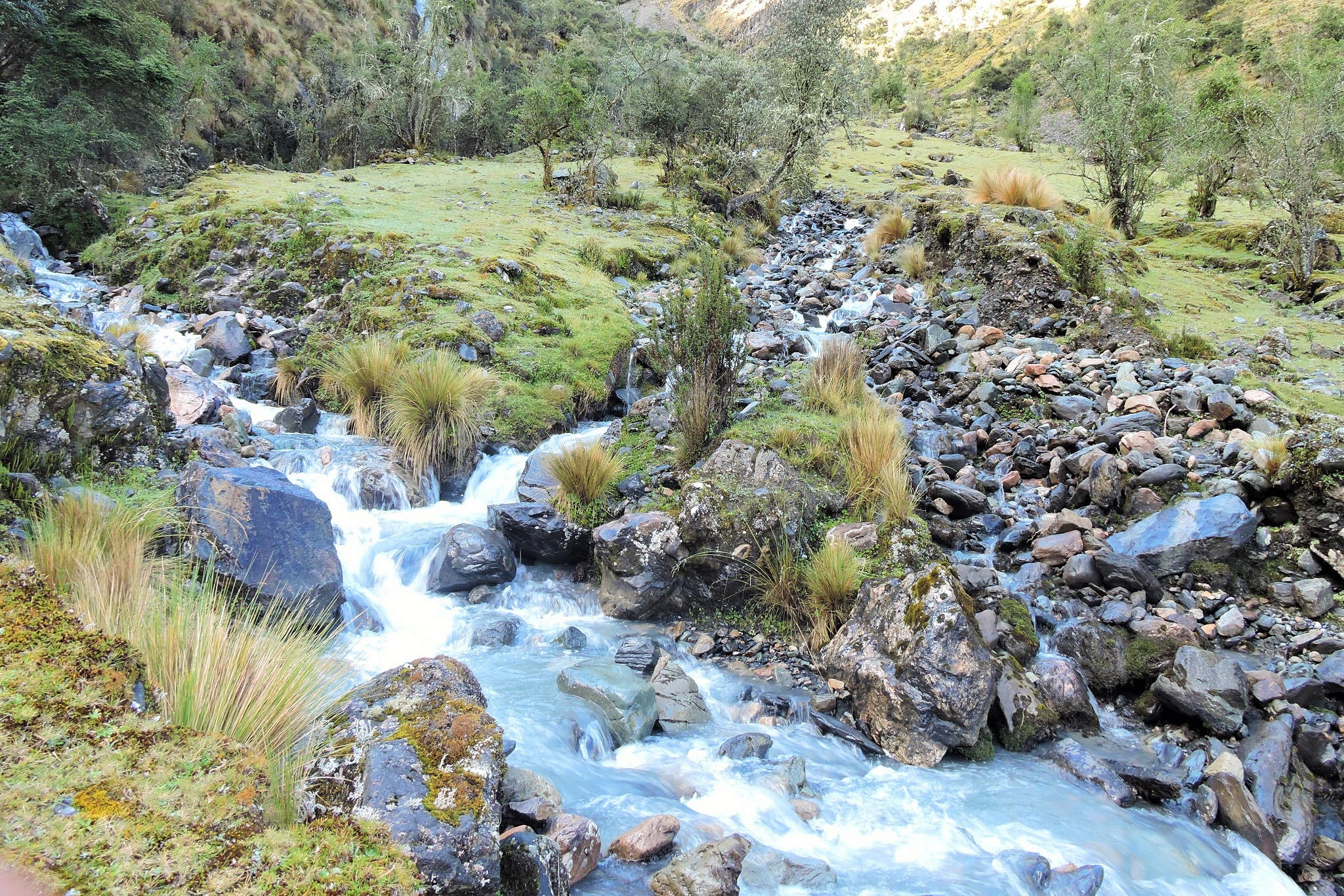 cusco-machupicchu-abra malaga birding