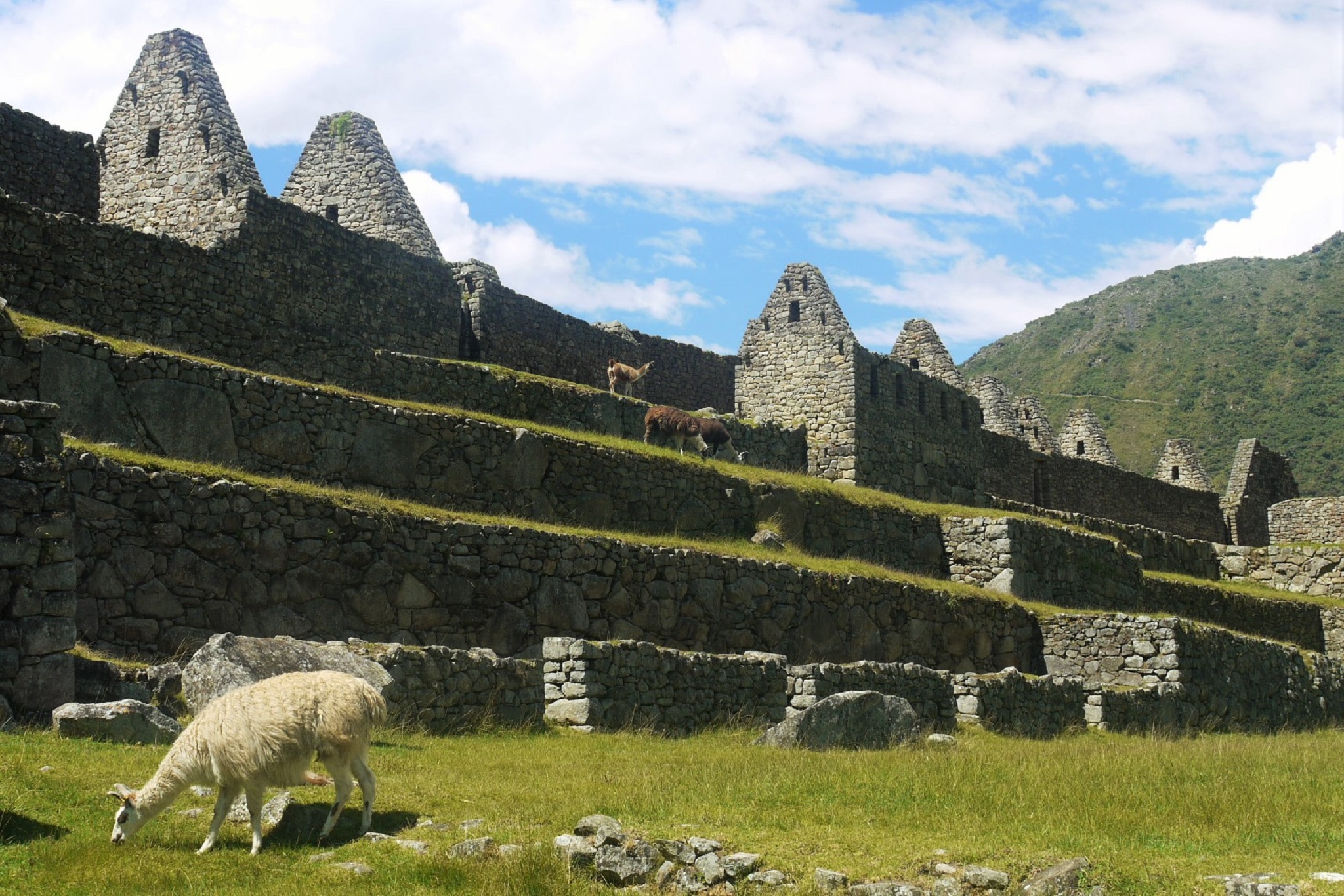 machupicchu ruins