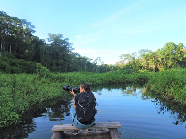 peru amazon jungle tours