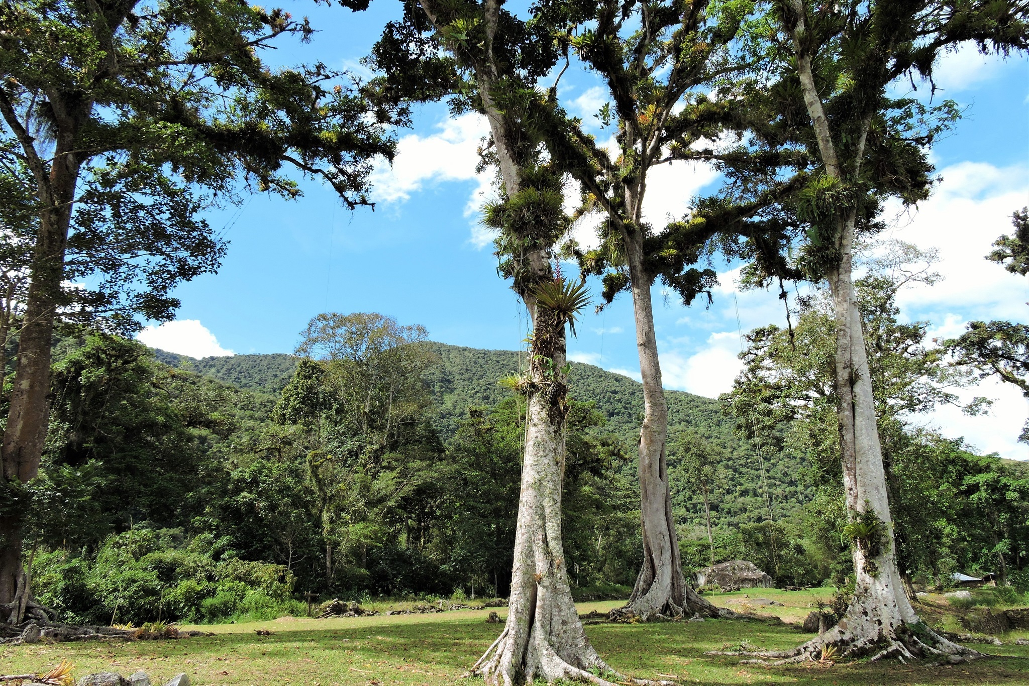 espiritu pampa -manu national park tours