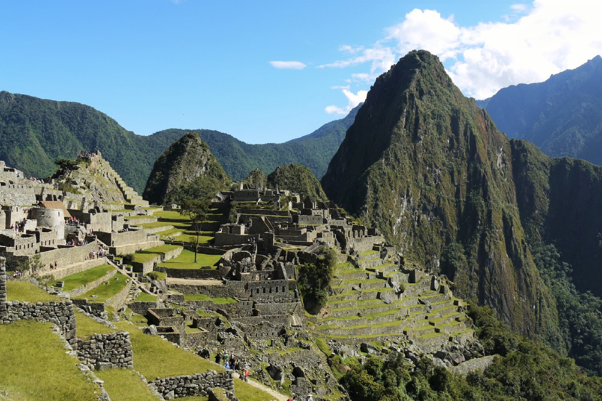 cusco machupicchu abramalaga - birding