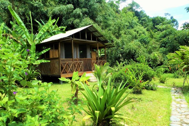 Guadalupe Lodge - Amazon Wildlife Experiences