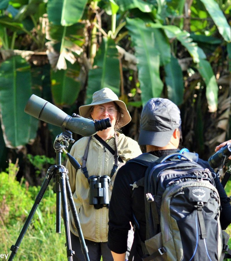 Experiencing the Best Birding Lodges 6 days