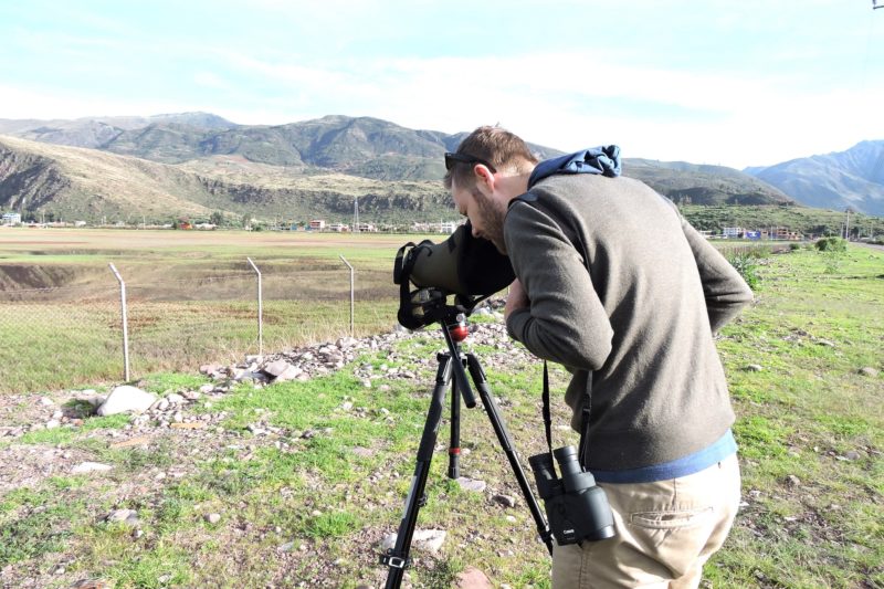 Quick Birdwatching Escape in Cusco - Morning Time!