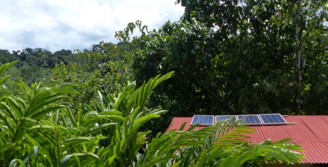peru amazon eco lodge - Guadalupe Lodge is committed to preserving the delicate balance of the Amazon rainforest. Our eco-friendly practices include:Solar Power: Harnessing the power of the sun to minimize our carbon footprint.