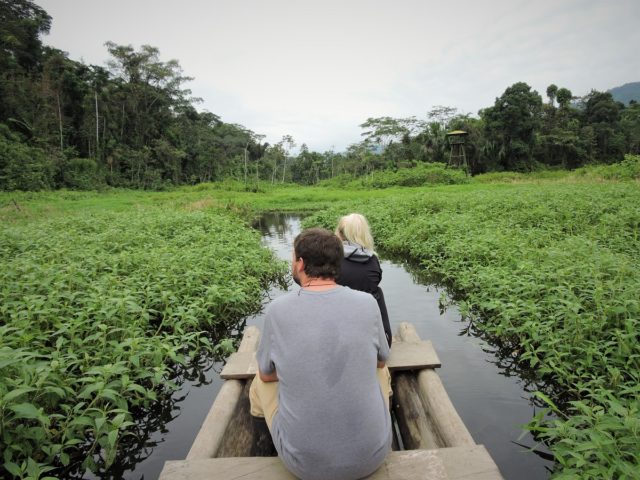 rainforest in Peru , a safe place to travel on 2023