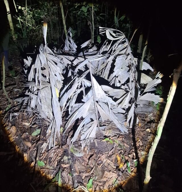 Uncontacted tribes in the Amazon